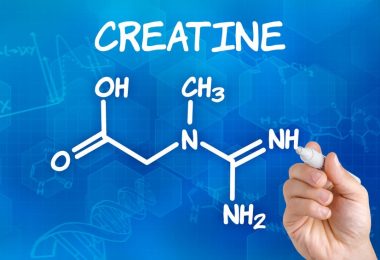 créatine
