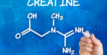 créatine