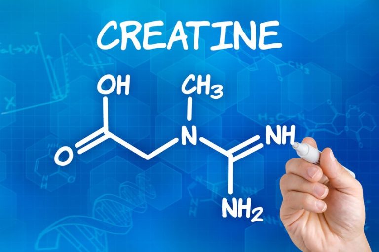 Optimisez la performance de votre corps avec la créatine